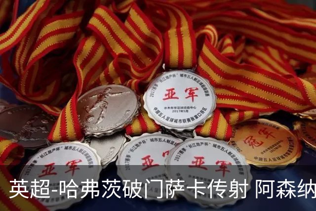 英超-哈弗茨破门萨卡传射 阿森纳2-0狼队